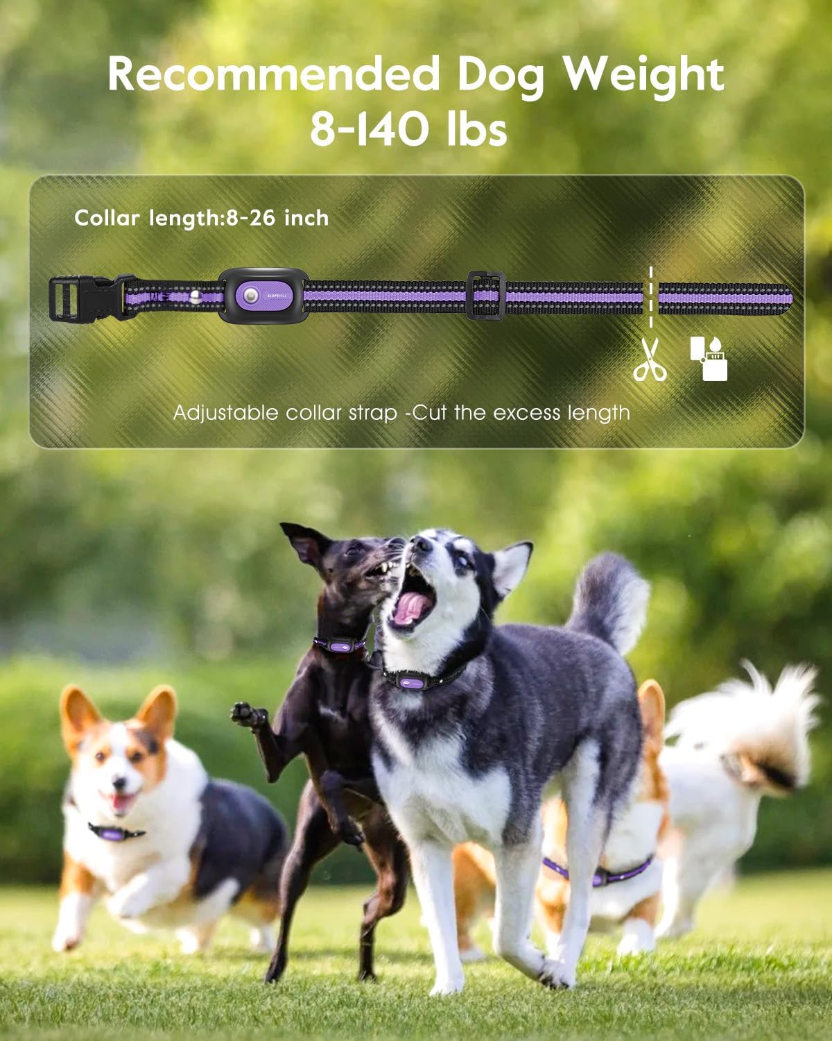 SLOPEHILL Collar de choque para perros, collar de entrenamiento par...