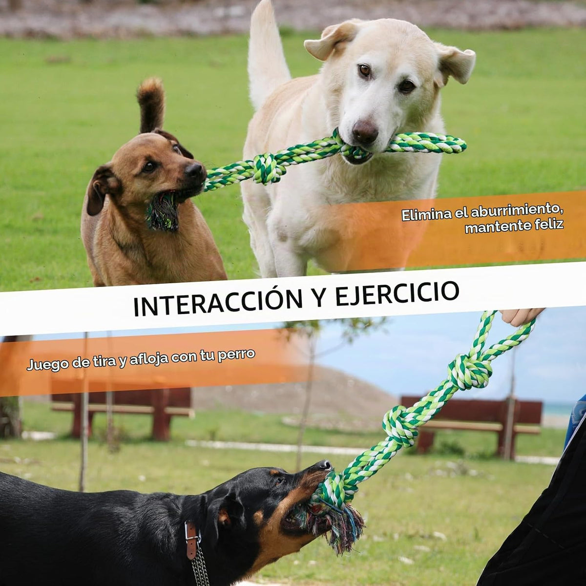 TLAZZ Paquete de 2 juguetes de cuerda para perros para razas median...