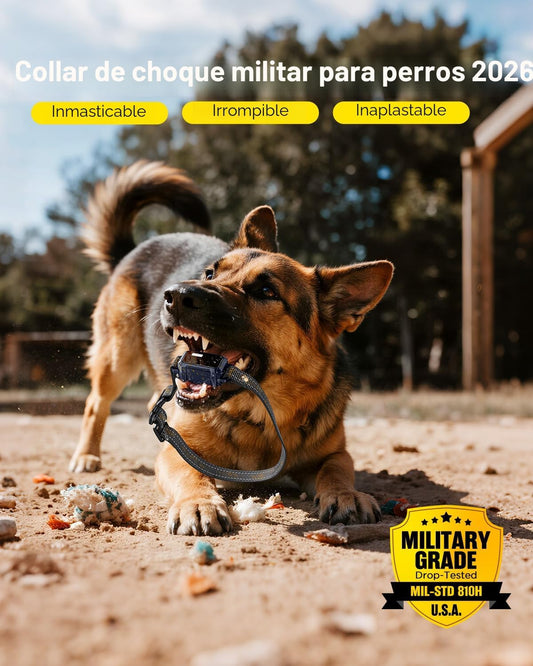 BLACKDOG Collar de choque militar para perro, collar de entrenamien...