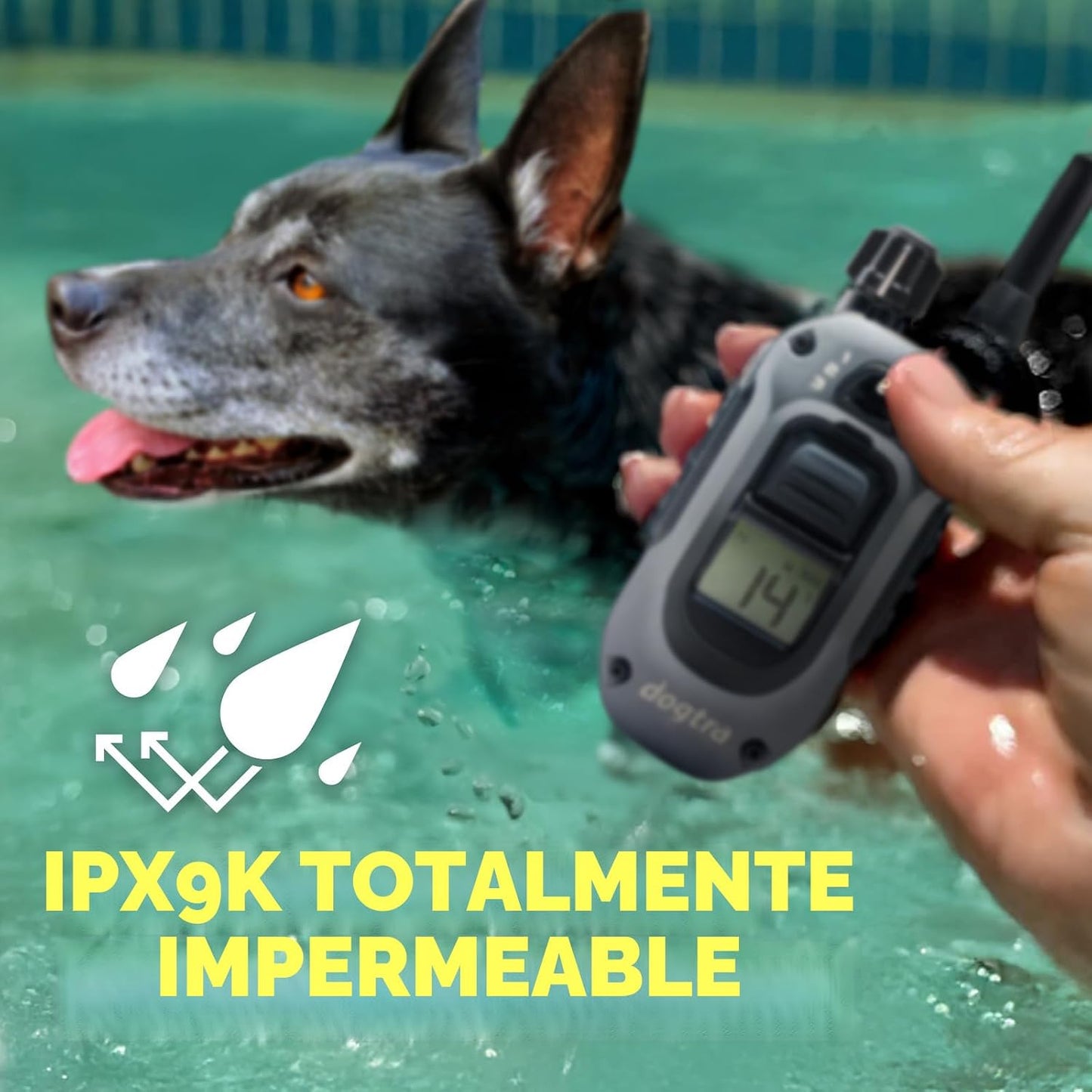 Dogtra Collar de Entrenamiento 280X con Control Remoto [Nueva Edici...
