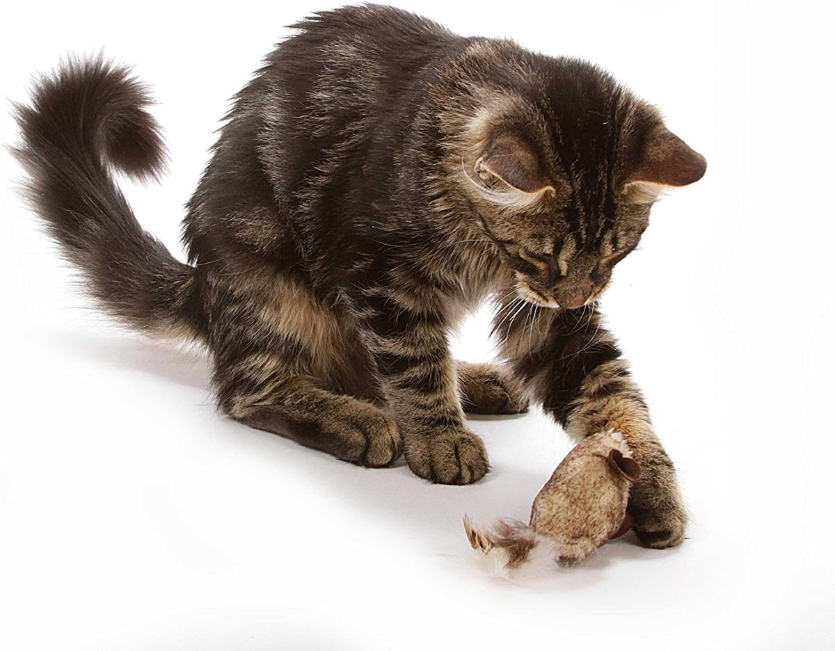 OurPet's Play-N-Squeak Twice the Mice - Juguete para gatos, paq...