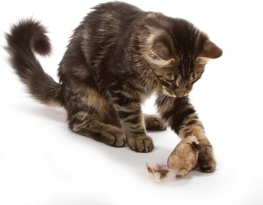 OurPet's Play-N-Squeak Twice the Mice - Juguete para gatos, paq...