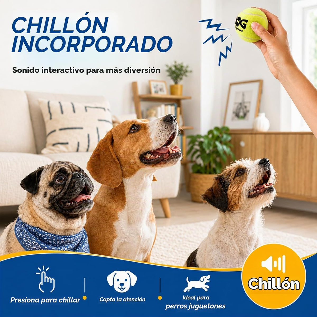 Pelotas de tenis para perros INSUM, paquete de 12 pelotas coloridas...