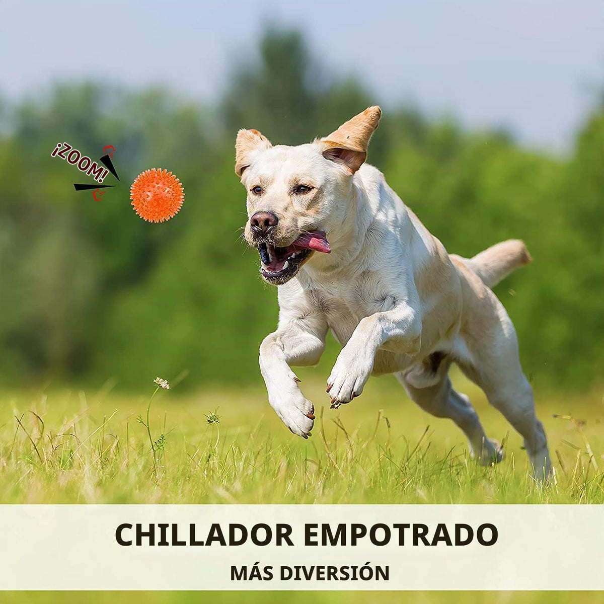 petizer Paquete de 6 pelotas de juguete para perros con sonido de 3...