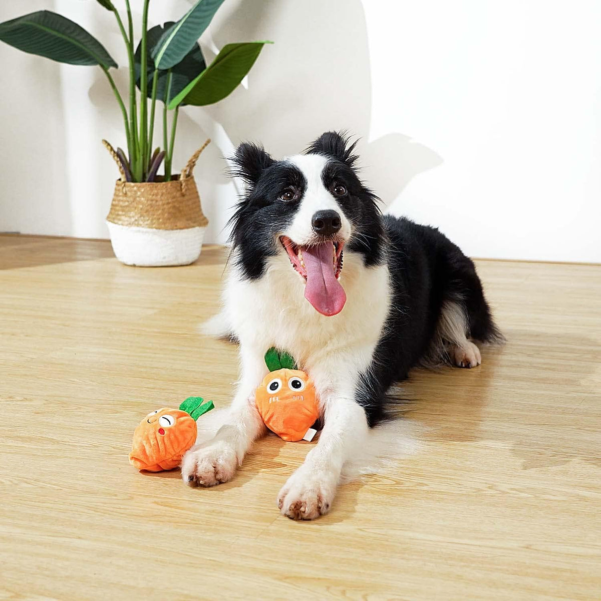 MewaJump - Juguete masticable para perros con pelota, juguete chirr...