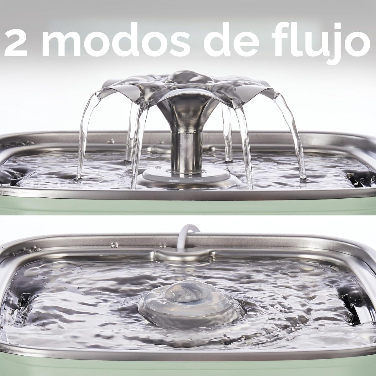 Veken - Ganador del Premio a la Innovación, Fuente de Agua para Gat...