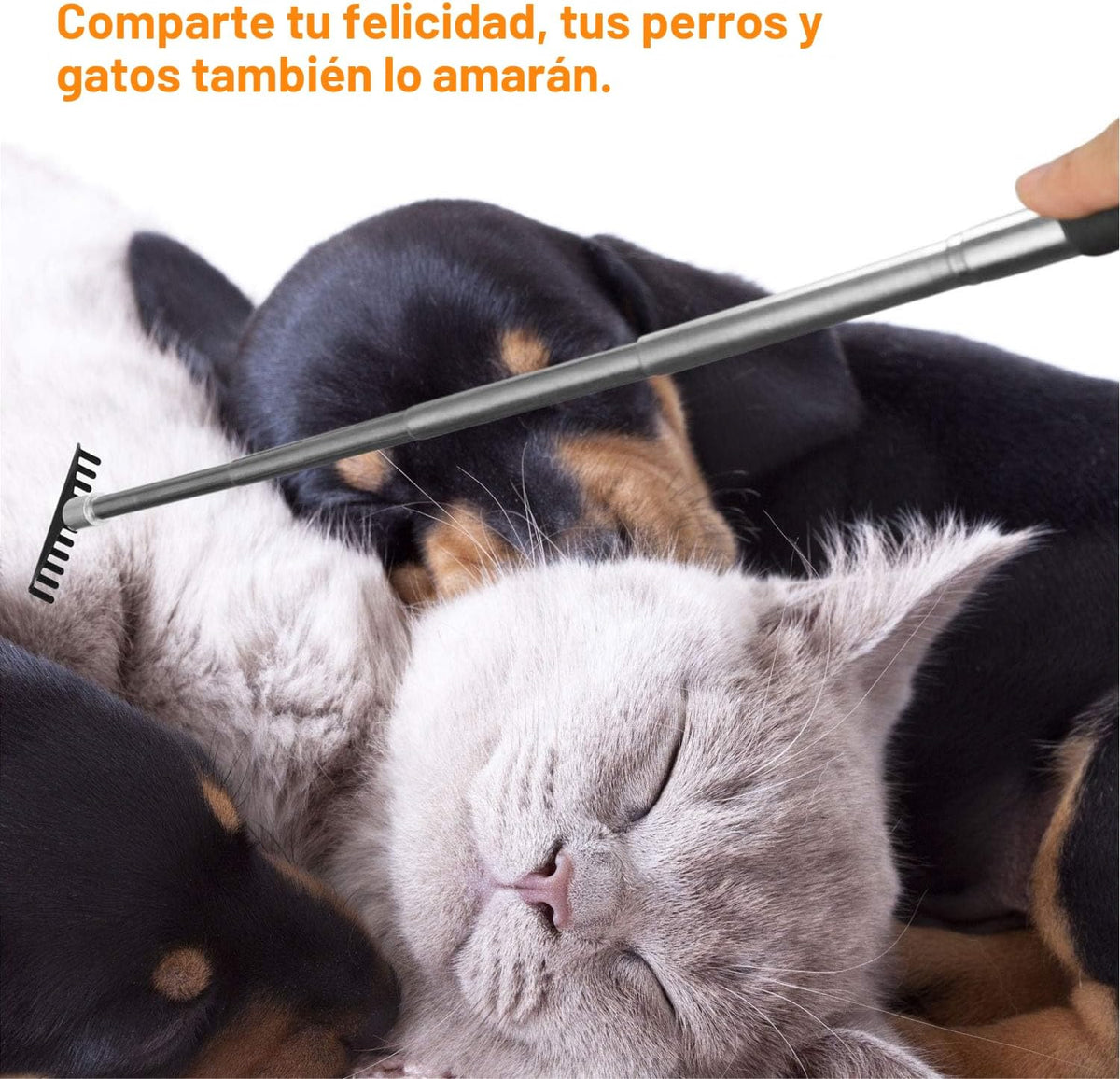 Rascador de espalda extensible portátil de gran tamaño de Flanker-L...