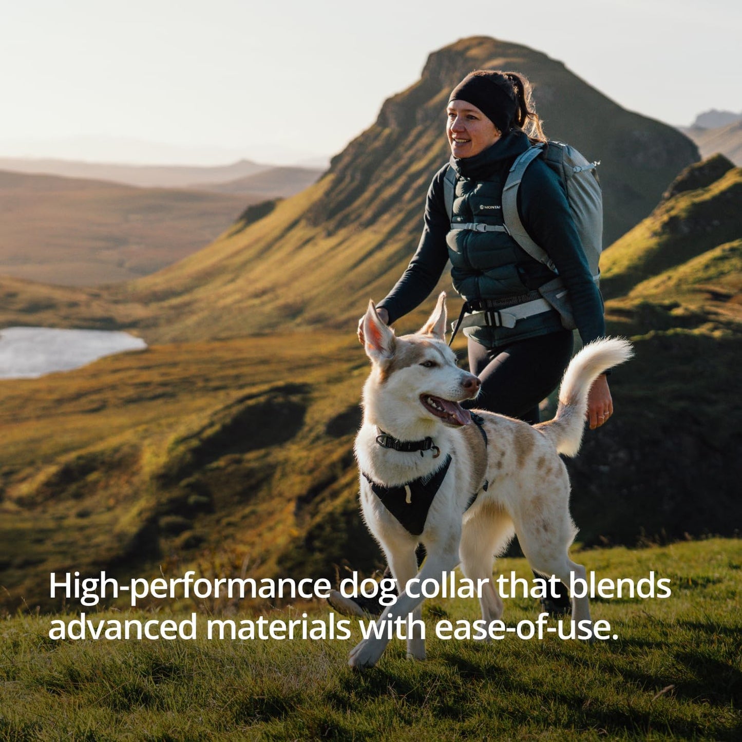 Ruffwear, Ridgeline - Collar para perro, correa reflectante, hebill...