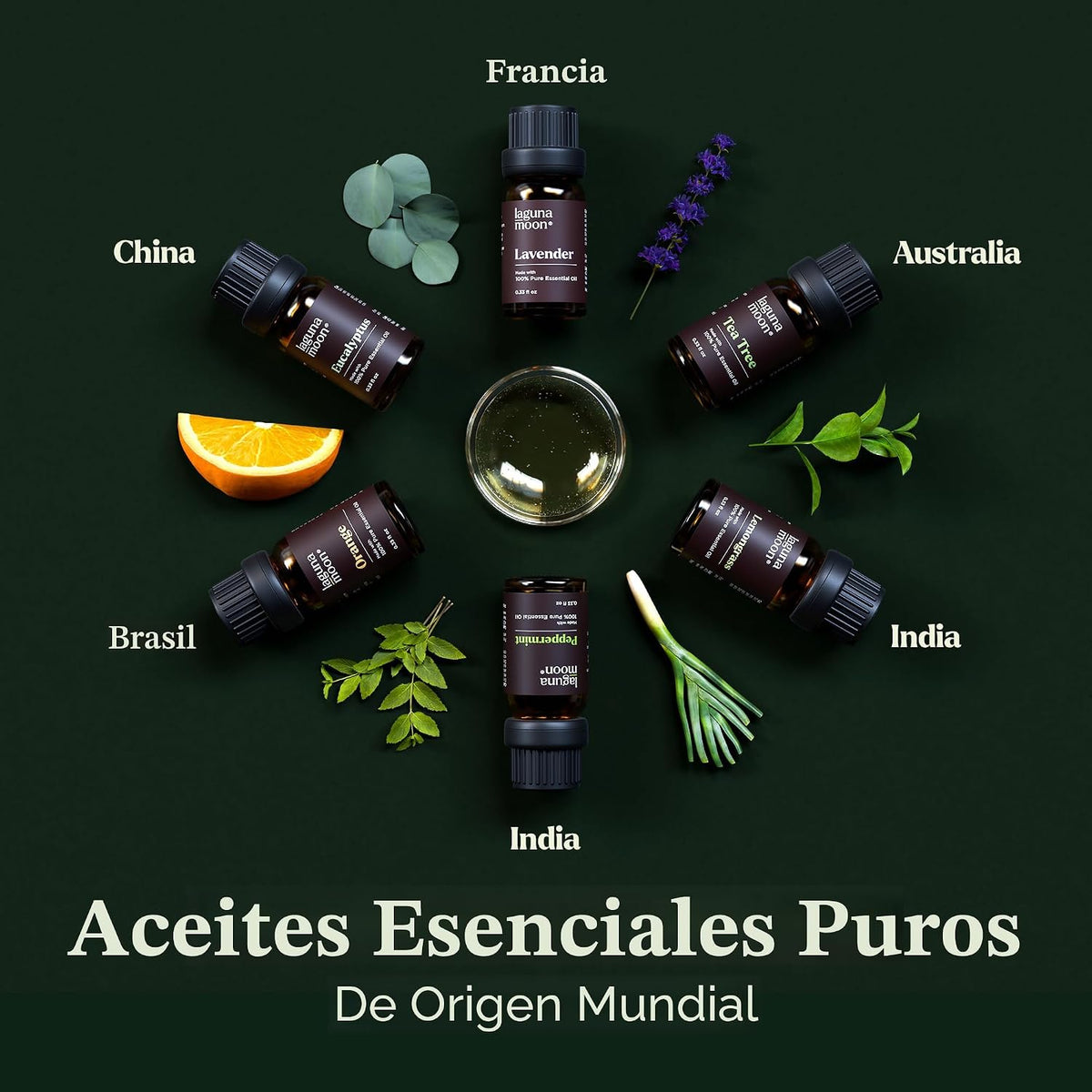 LagunaMoon - Paquete de 6 aceites esenciales con caja de regalo, me...