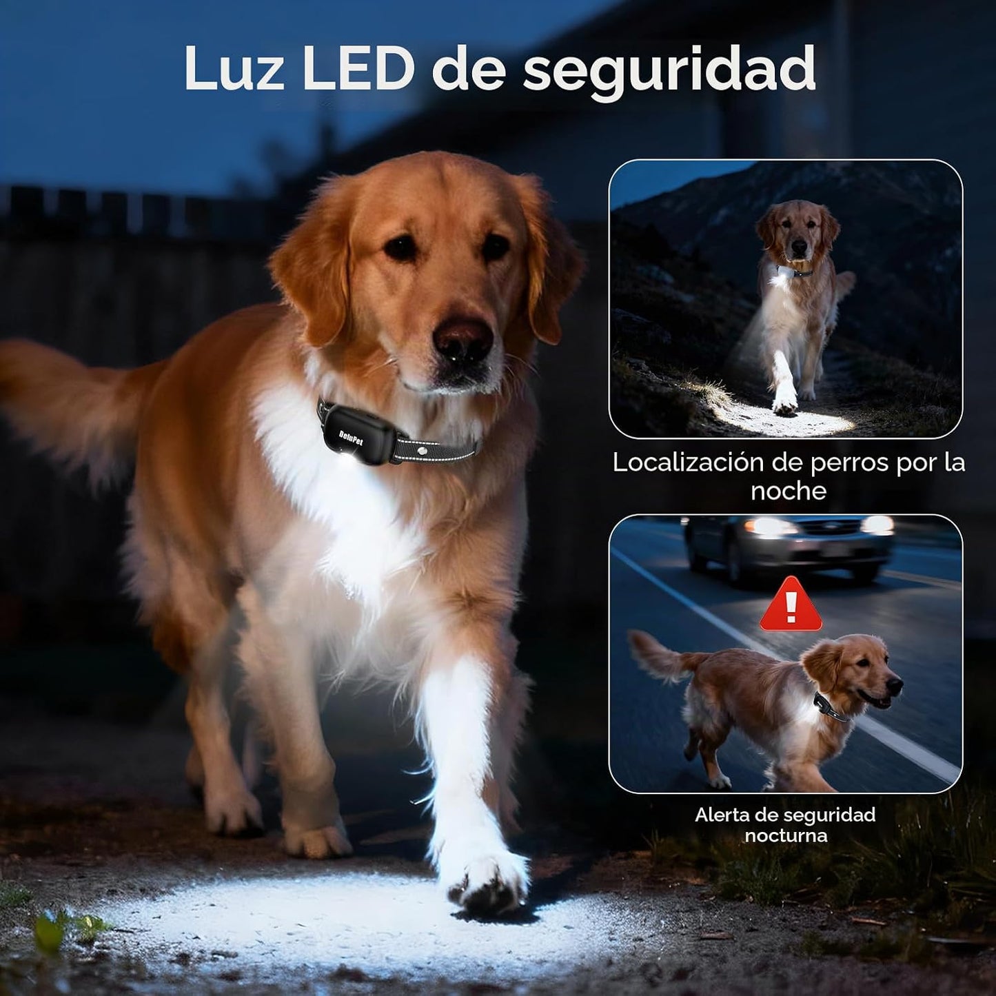Collar de choque para perros, 2 perros, collares de entrenamiento d...