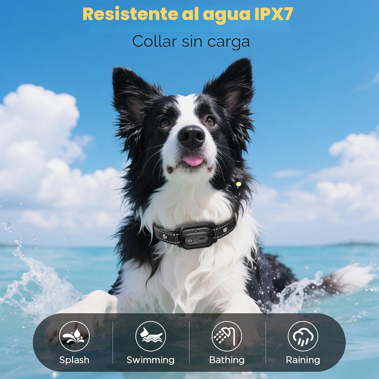 Collar de choque para perros, collar de entrenamiento para perros d...