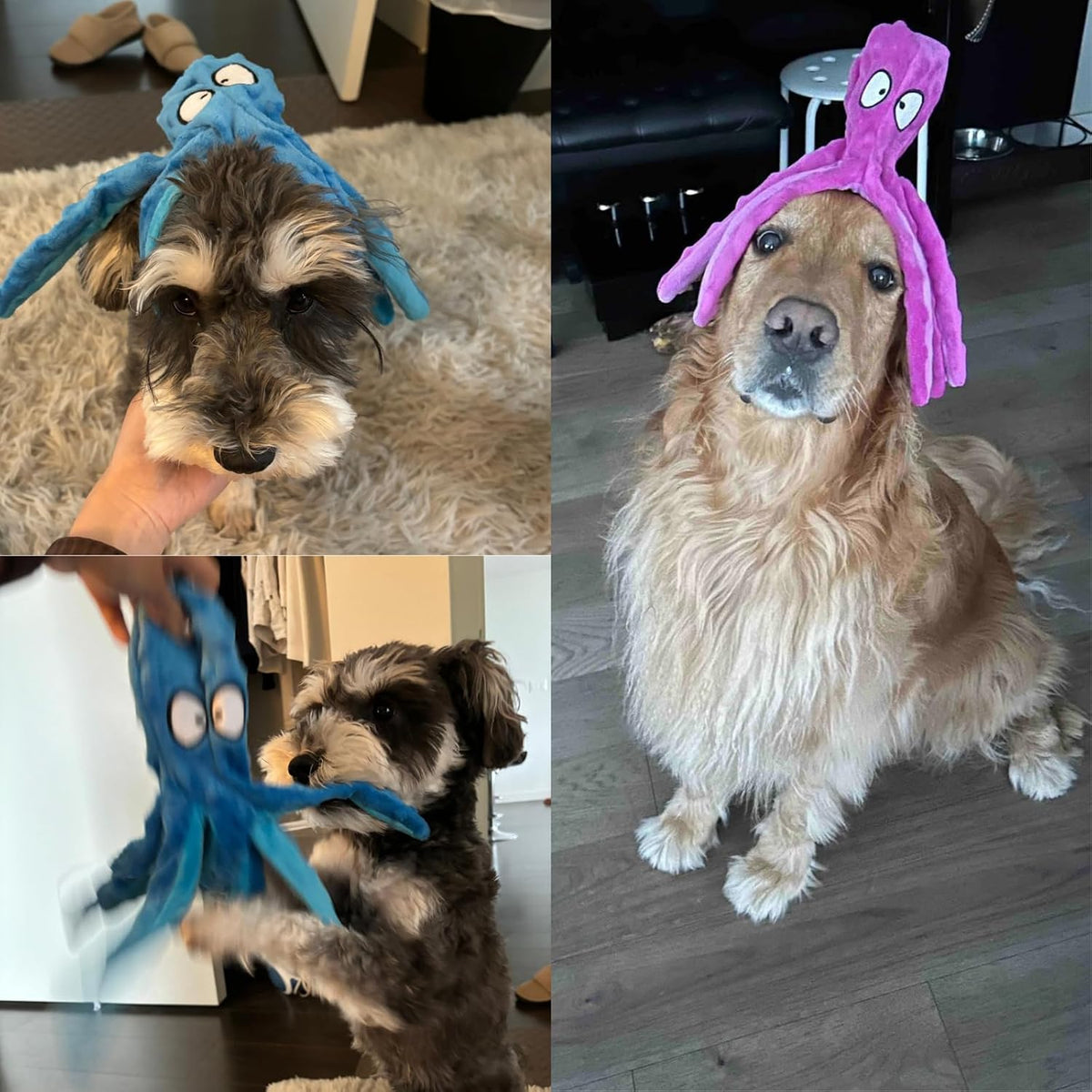 HGB Juguetes chirriantes para perros, sin relleno, pulpo arrugado p...
