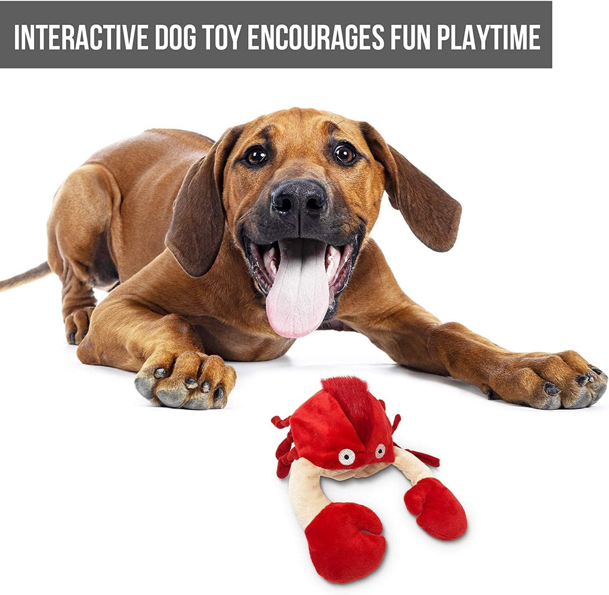 Hyper Pet Doggie Pal Juguetes interactivos para perros (juguete par...
