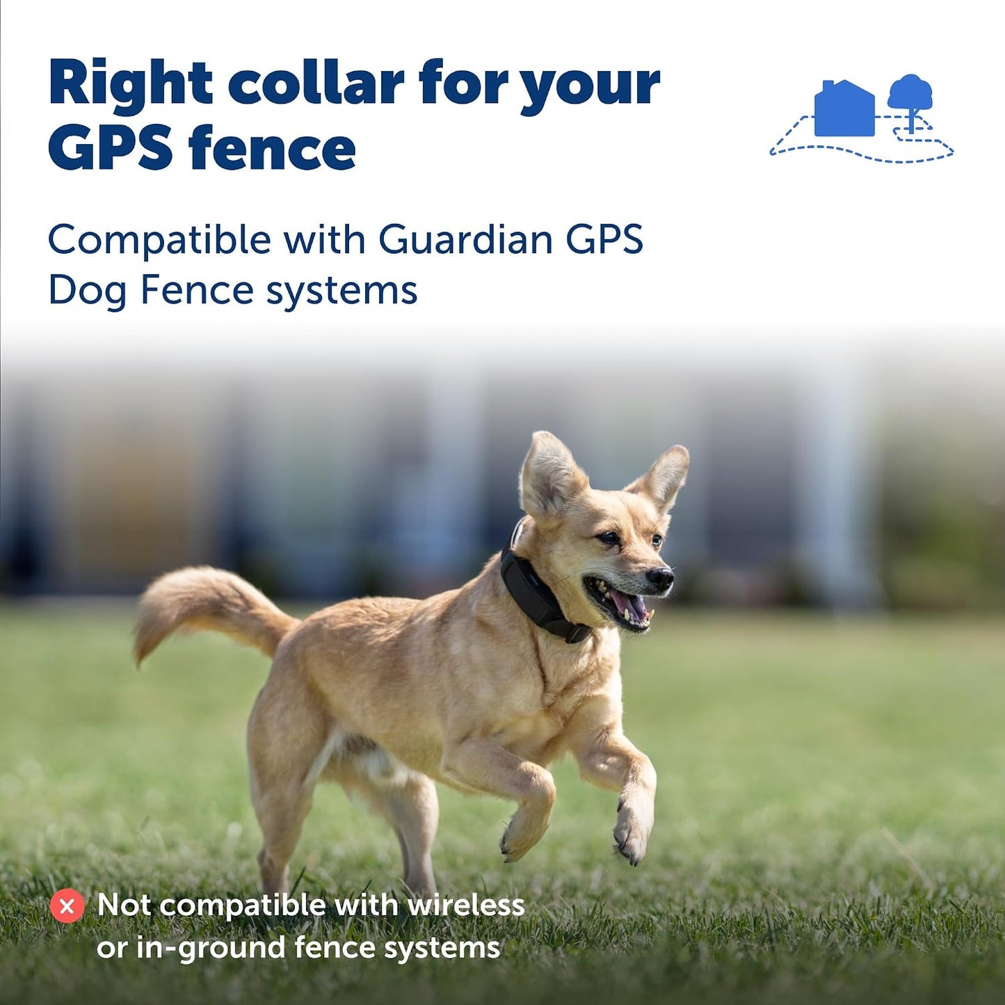 Collar PetSafe Guardian GPS para perros - Collar adicional para agr...