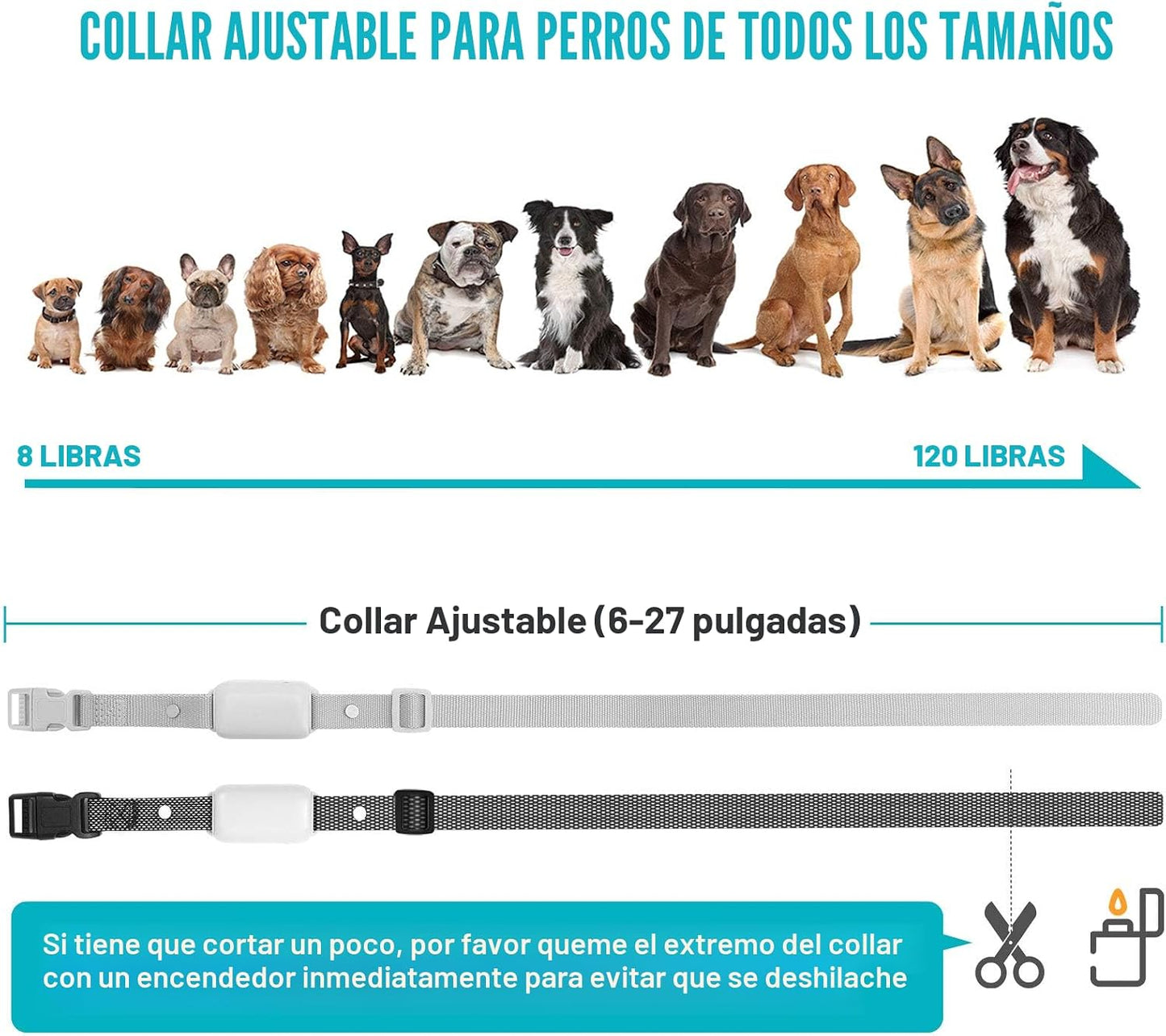Bousnic Collar de choque para perros 2 perros, (8-120 libras), coll...