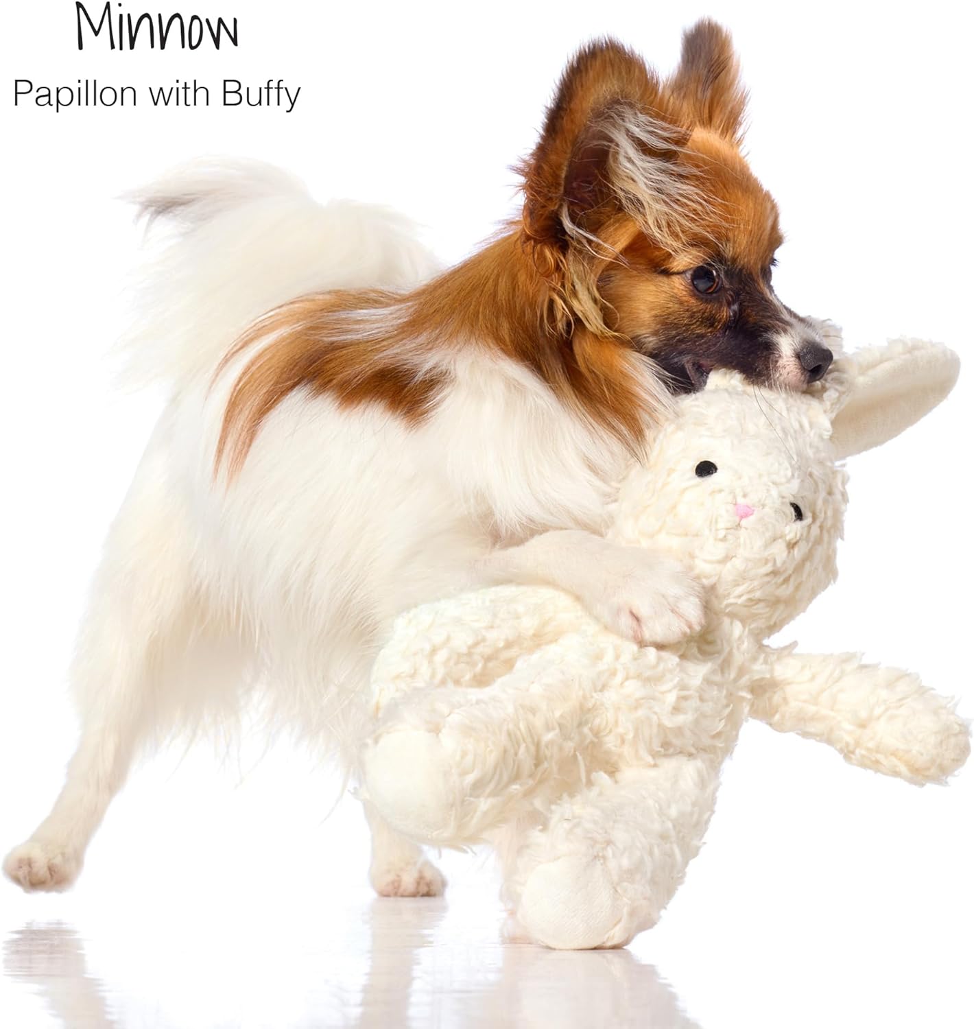 Pet Passion Juguetes de peluche duraderos de algodón para perros co...
