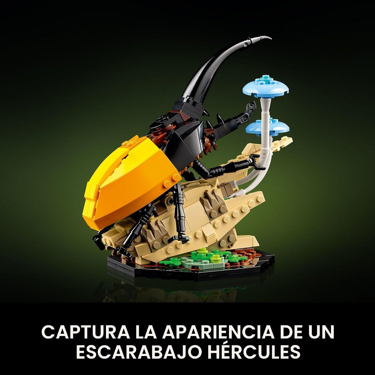 LEGO Ideas La Colección de Insectos, Divertido Regalo para Amantes...