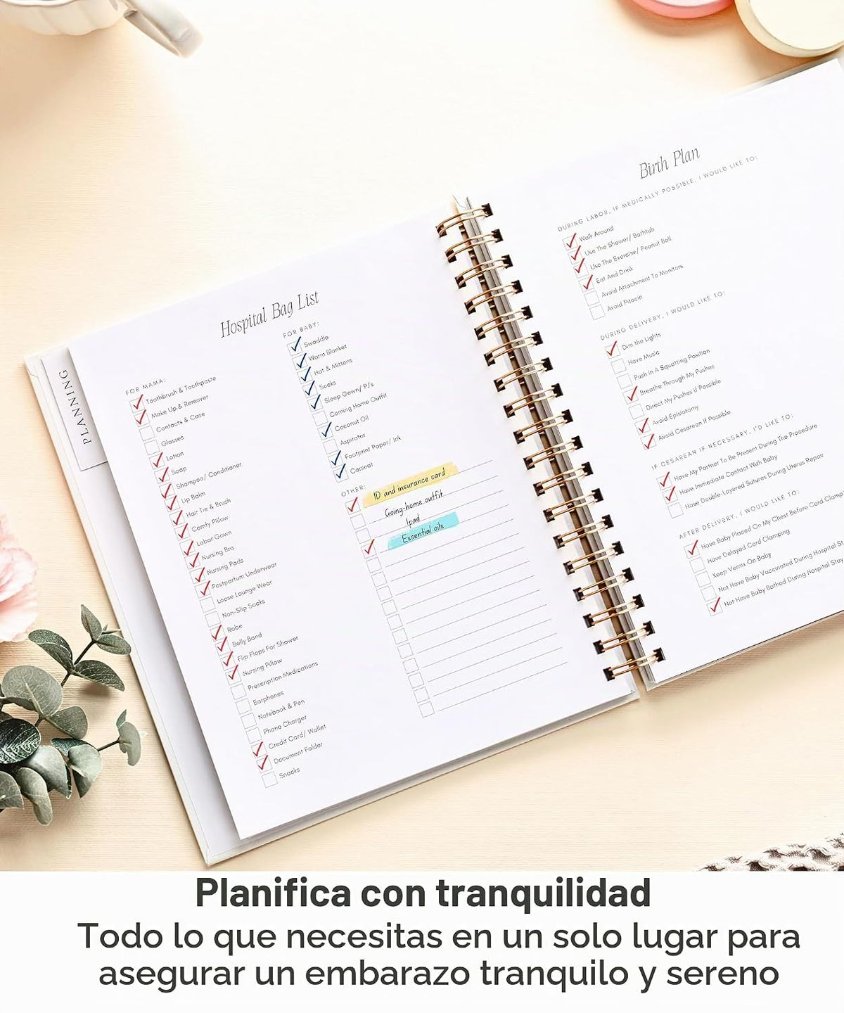 Lamare Diario de embarazo para madres primerizas 2026 - Álbum de re...