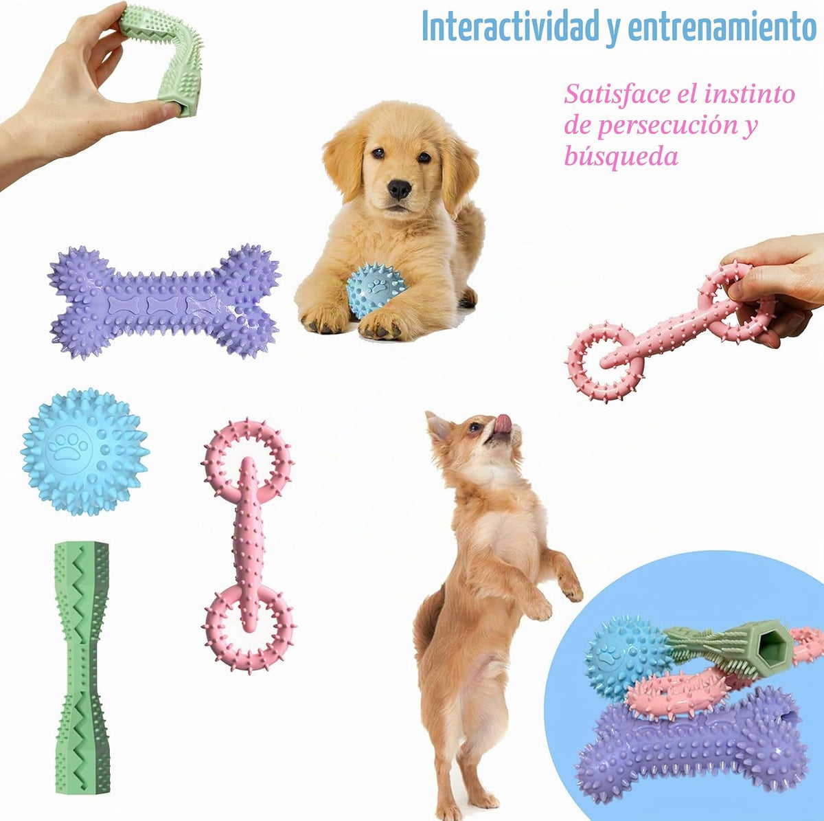 Paquete de 4 juguetes para cachorros de 2 a 8 meses, juguete mastic...
