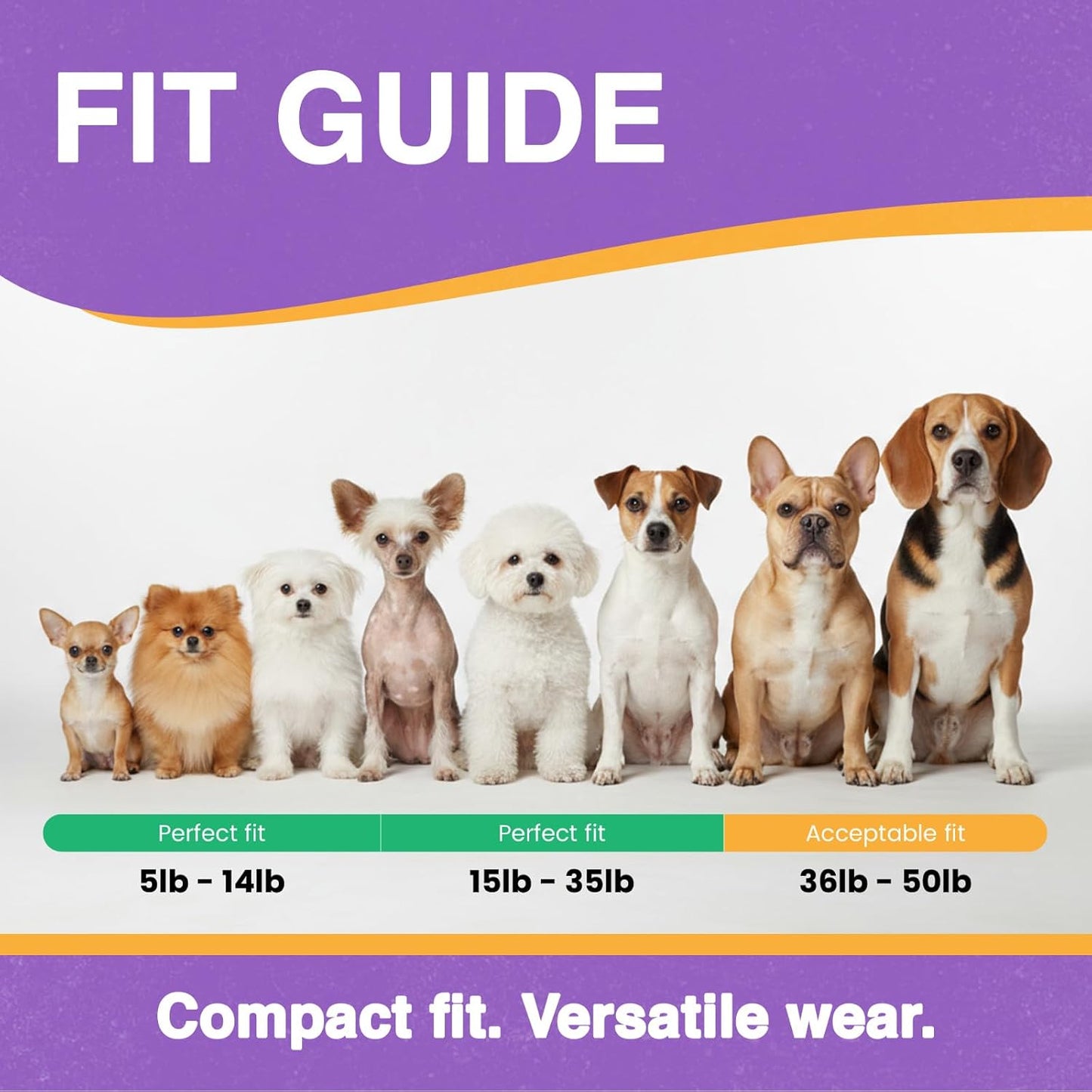 Educator ME-300 Micro E Collar para entrenamiento de perros con con...