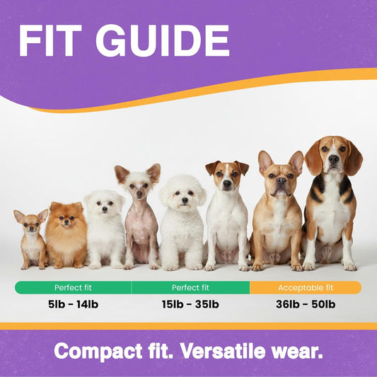 Educator ME-300 Micro E Collar para entrenamiento de perros con con...