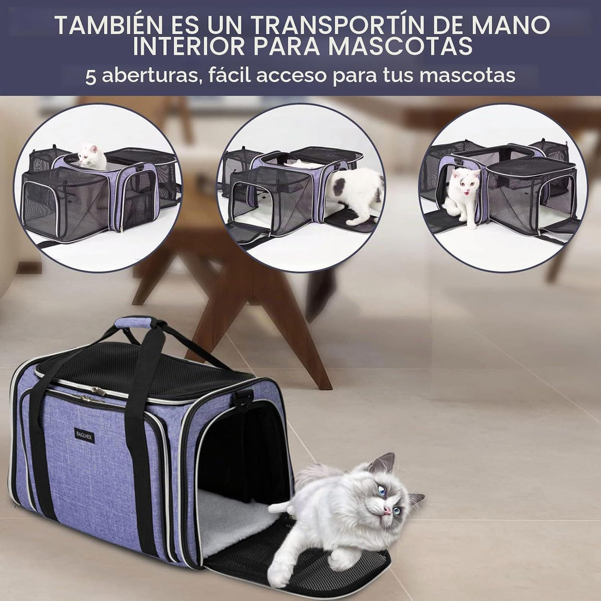 BAGLHER Bolsa de Transporte para Gatos, Transportador de Mascotas A...
