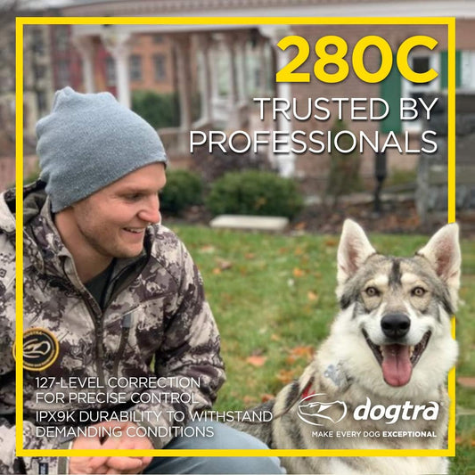 Dogtra 280C Collar E-perro impermeable con pantalla LCD de control...
