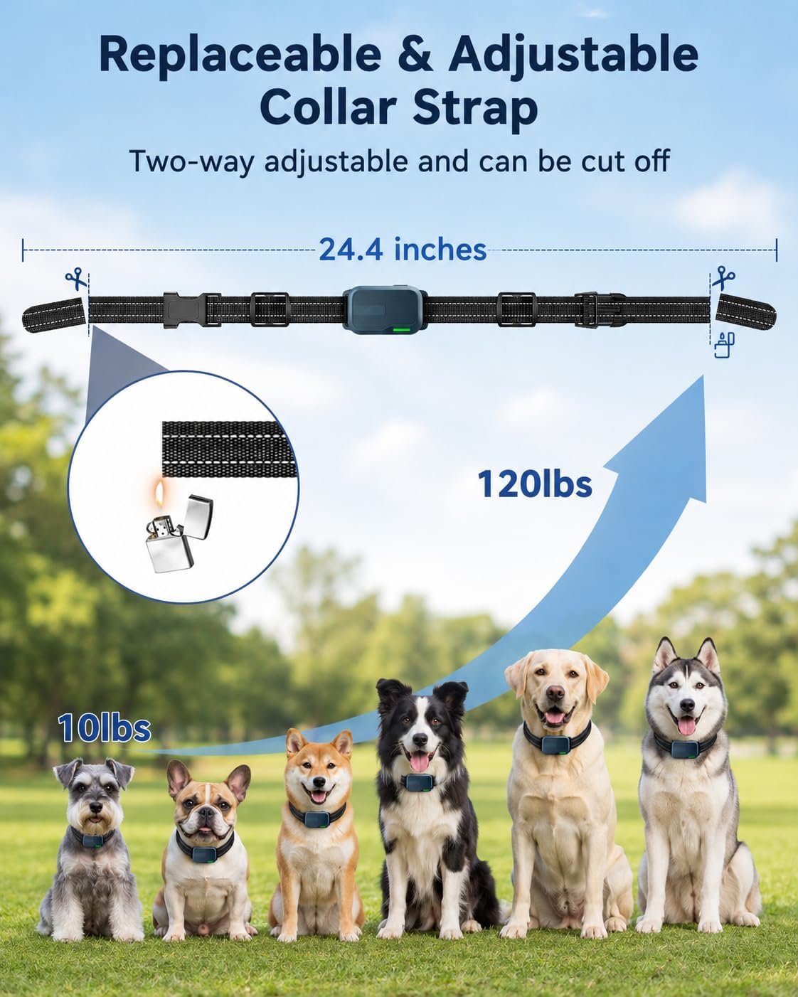 Collar de entrenamiento para perros para 2 perros con control remot...