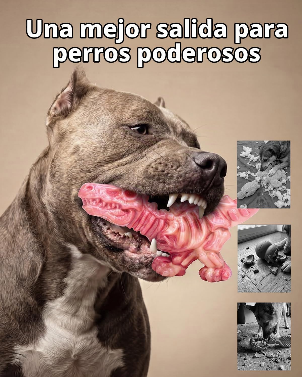 DinoBone Paquete de 2 juguetes masticables para perros resistentes...