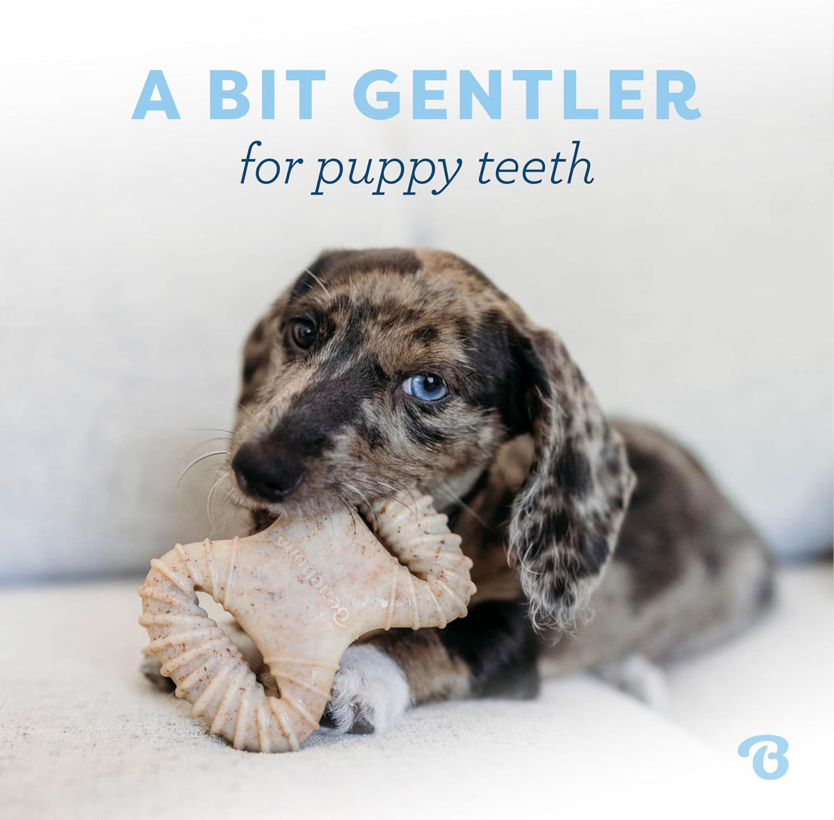 Benebone - Paquete de 2 juguetes para morder dentales\/hueso en for...