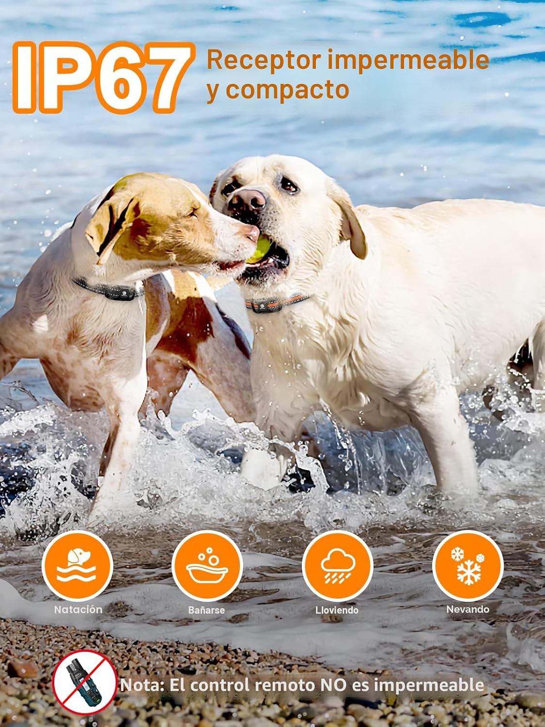 Bousnic Collar de choque para perro, 2 perros (5-120 libras) \u2013...