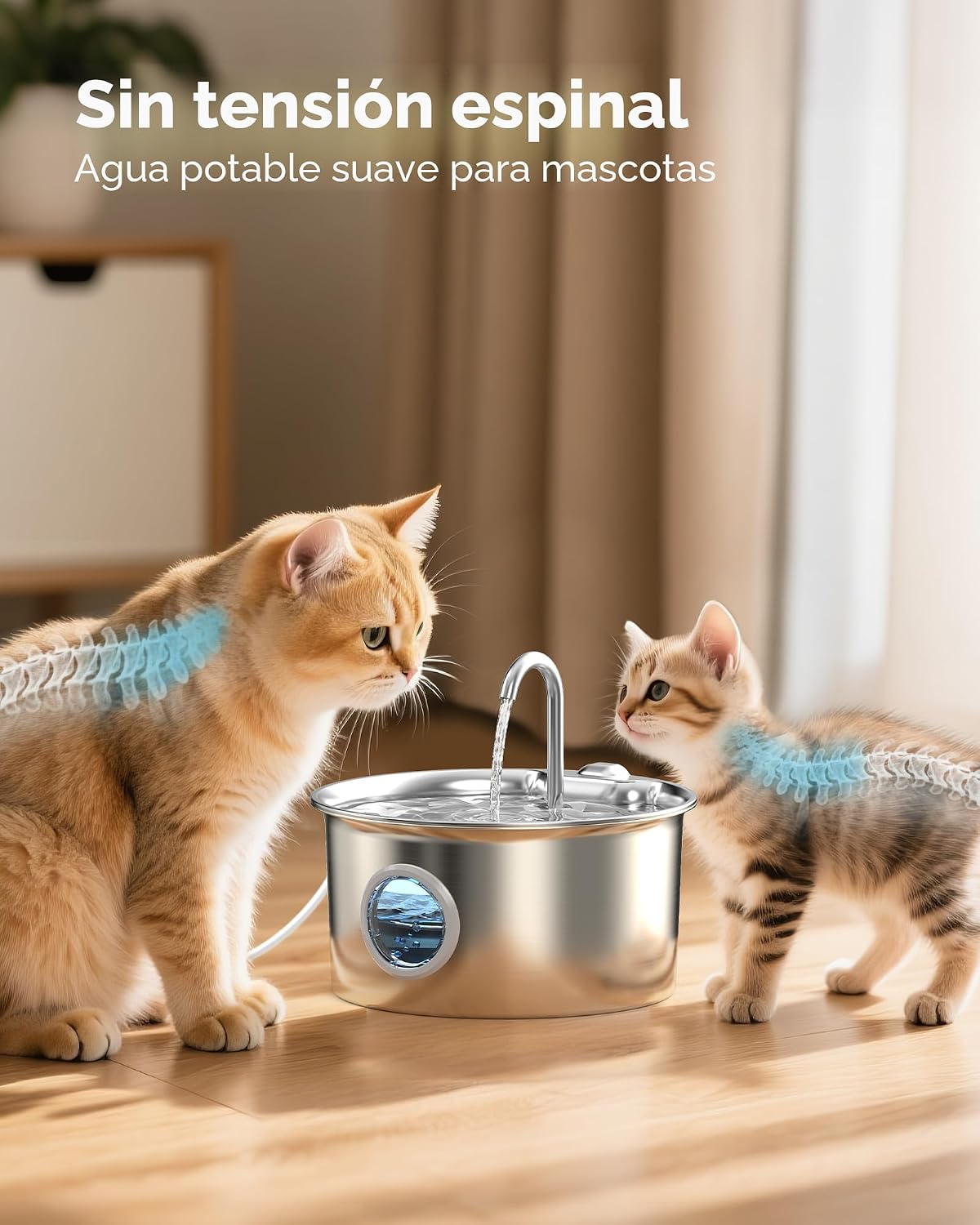 Fuente de agua para mascotas de acero inoxidable: fuentes de agua p...