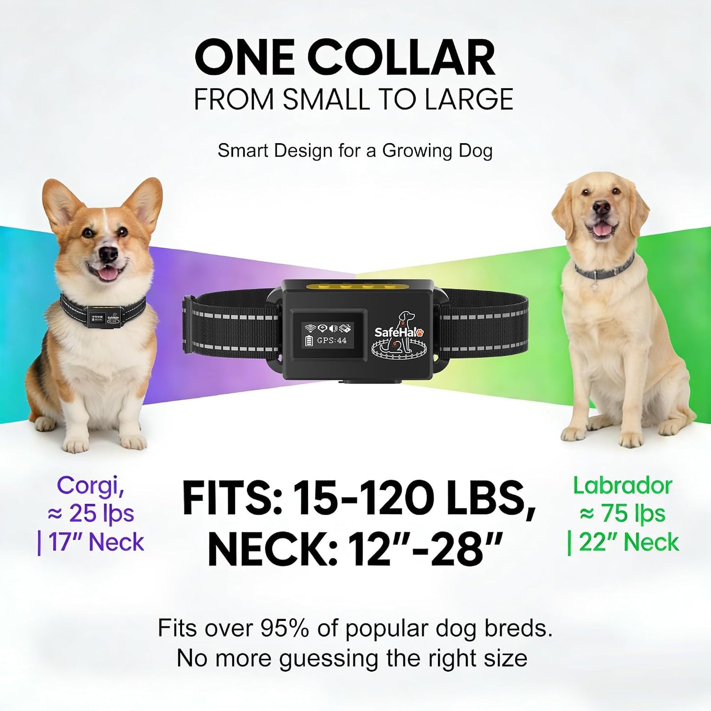 Sistema inalámbrico de cerca para perros Safehalo GPS y collar anti...