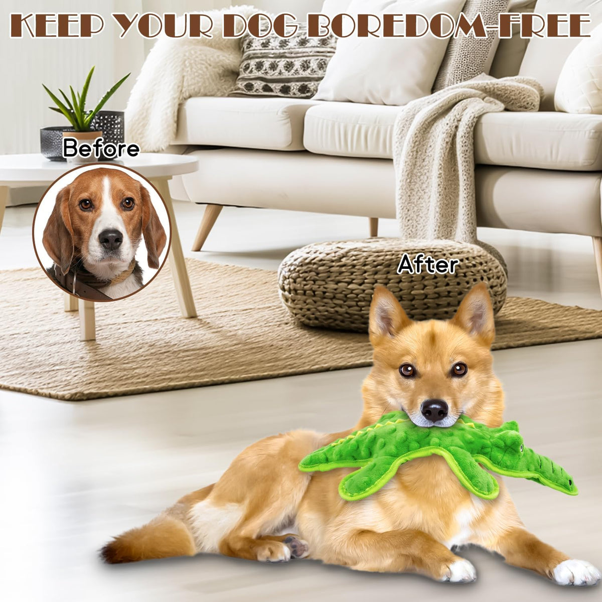 Juguetes chirriantes para perros sin relleno, juguetes masticables...