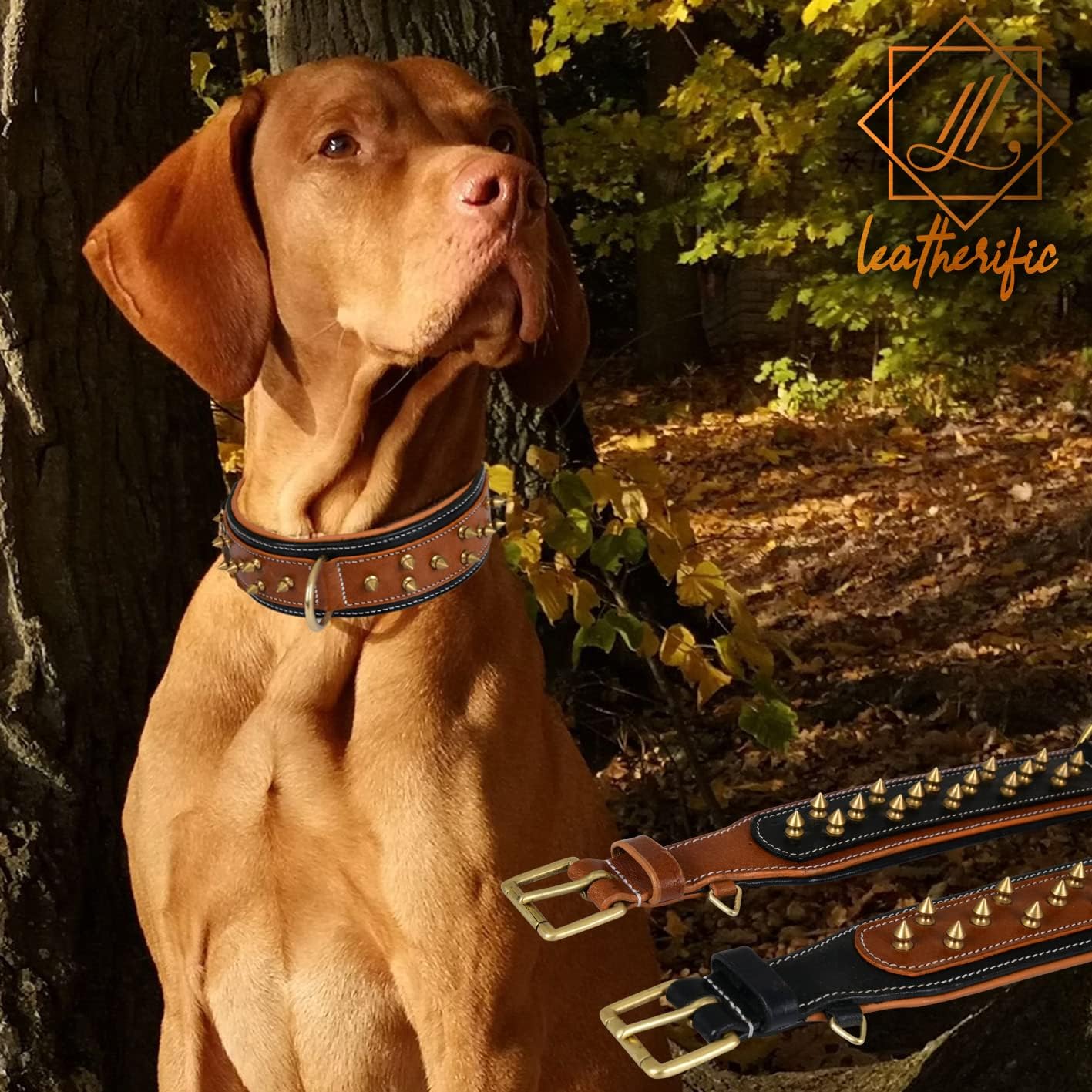 Leatherific - Collar de piel auténtica para perro, cuero bridle de...
