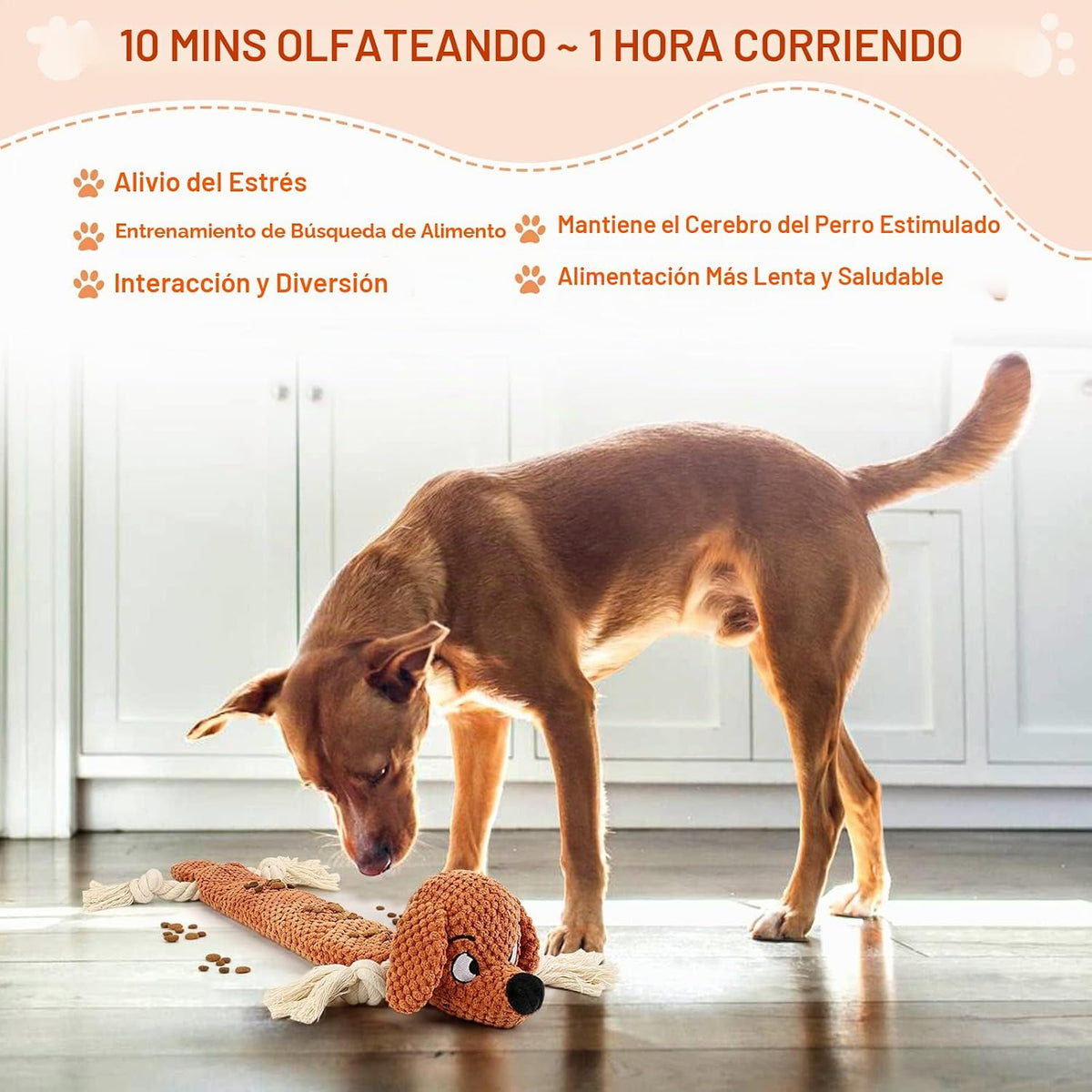 Letsmeet Juguetes para perros, juguete chirriante para masticar con...