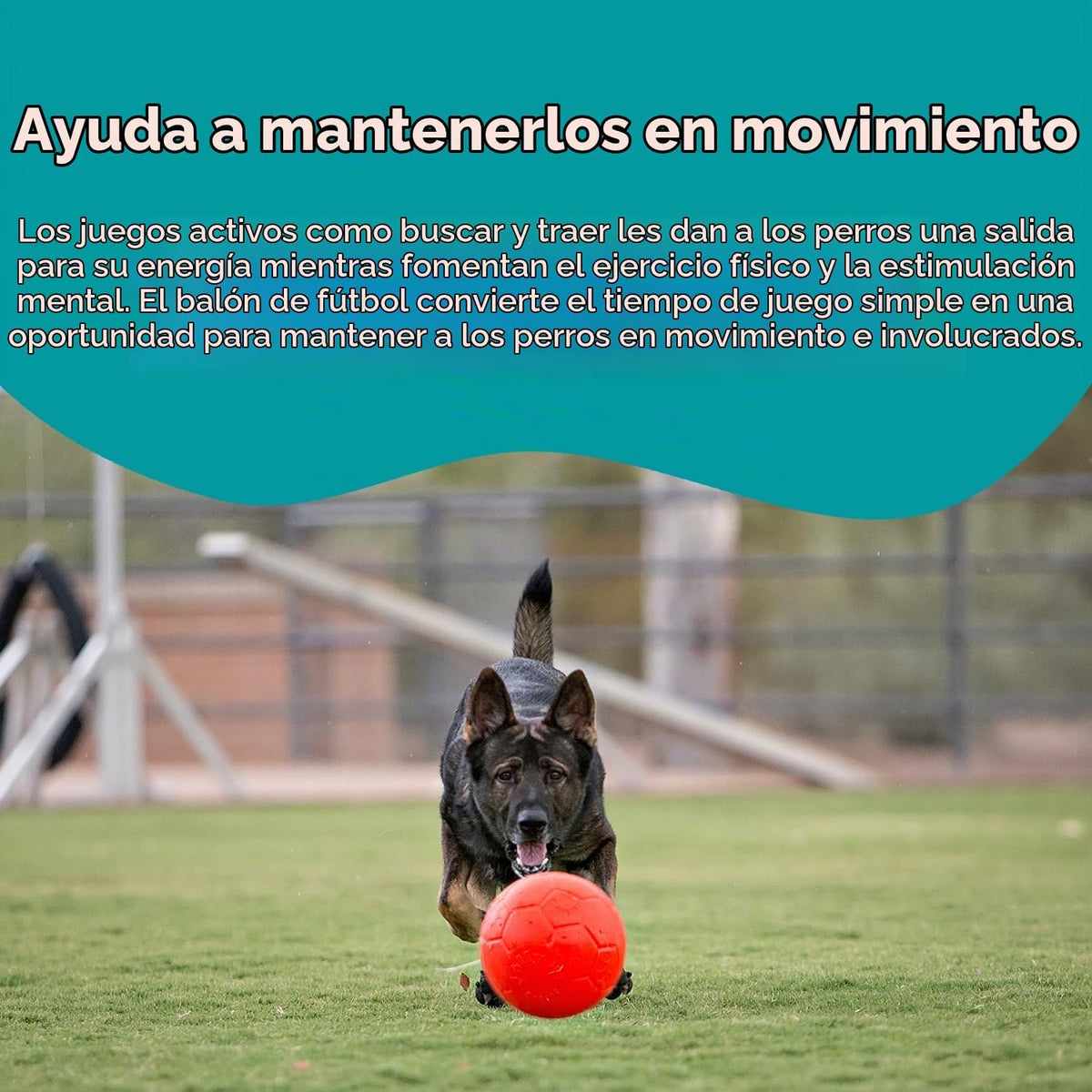 Juguete para perros Jolly Pets de gran pelota de fútbol flotante y...