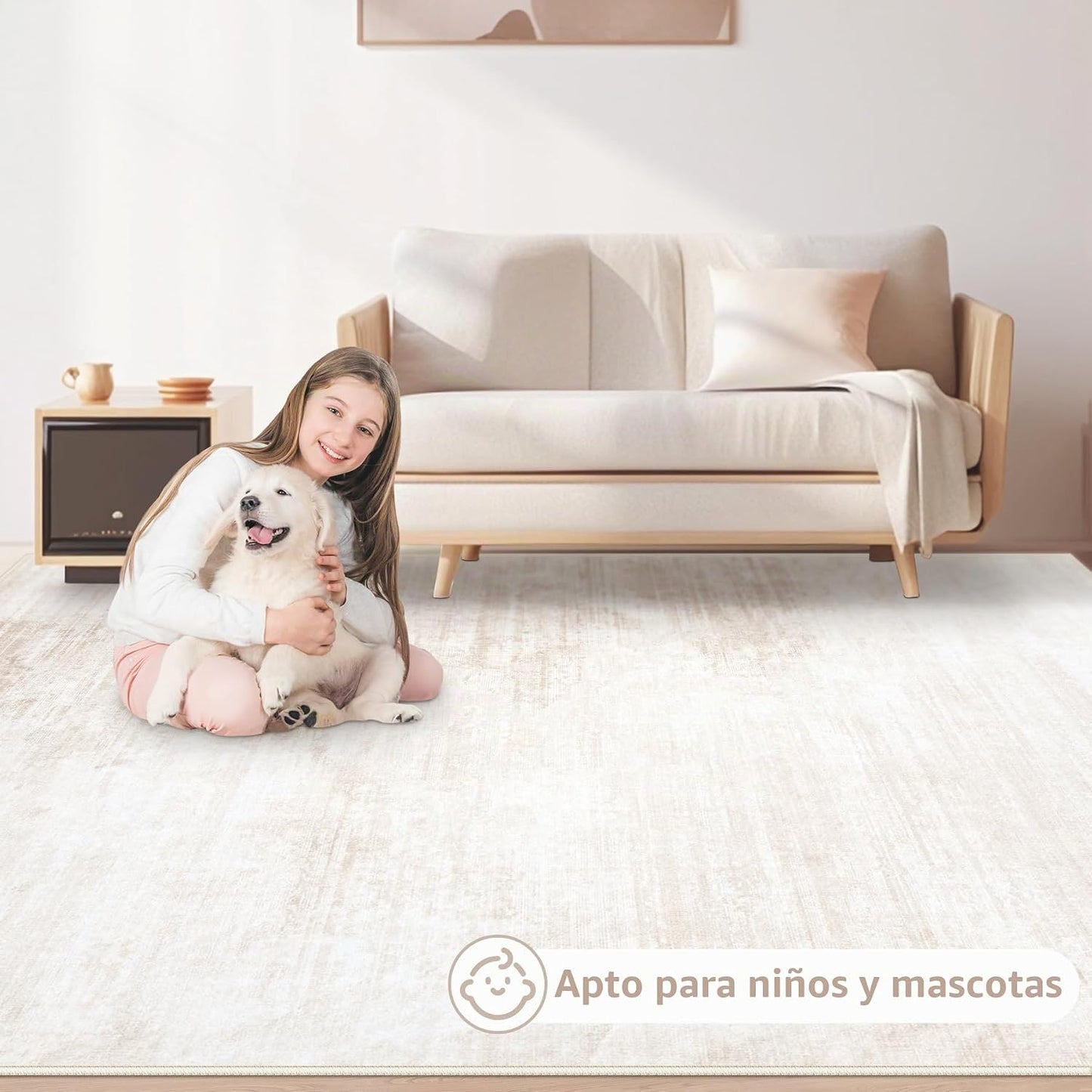 Alfombras de Área 6x9 para Sala de Estar: Alfombra Lavable Moderna...