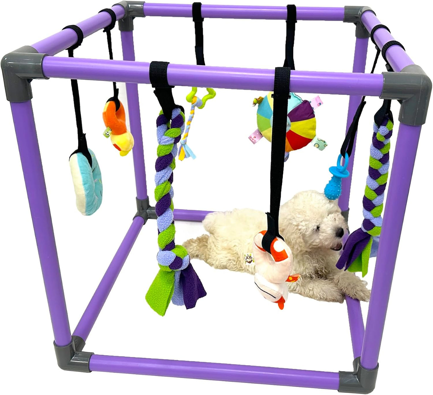 DOZZOPET Gimnasio de Juego para Cachorros para Perros Pequeños con...