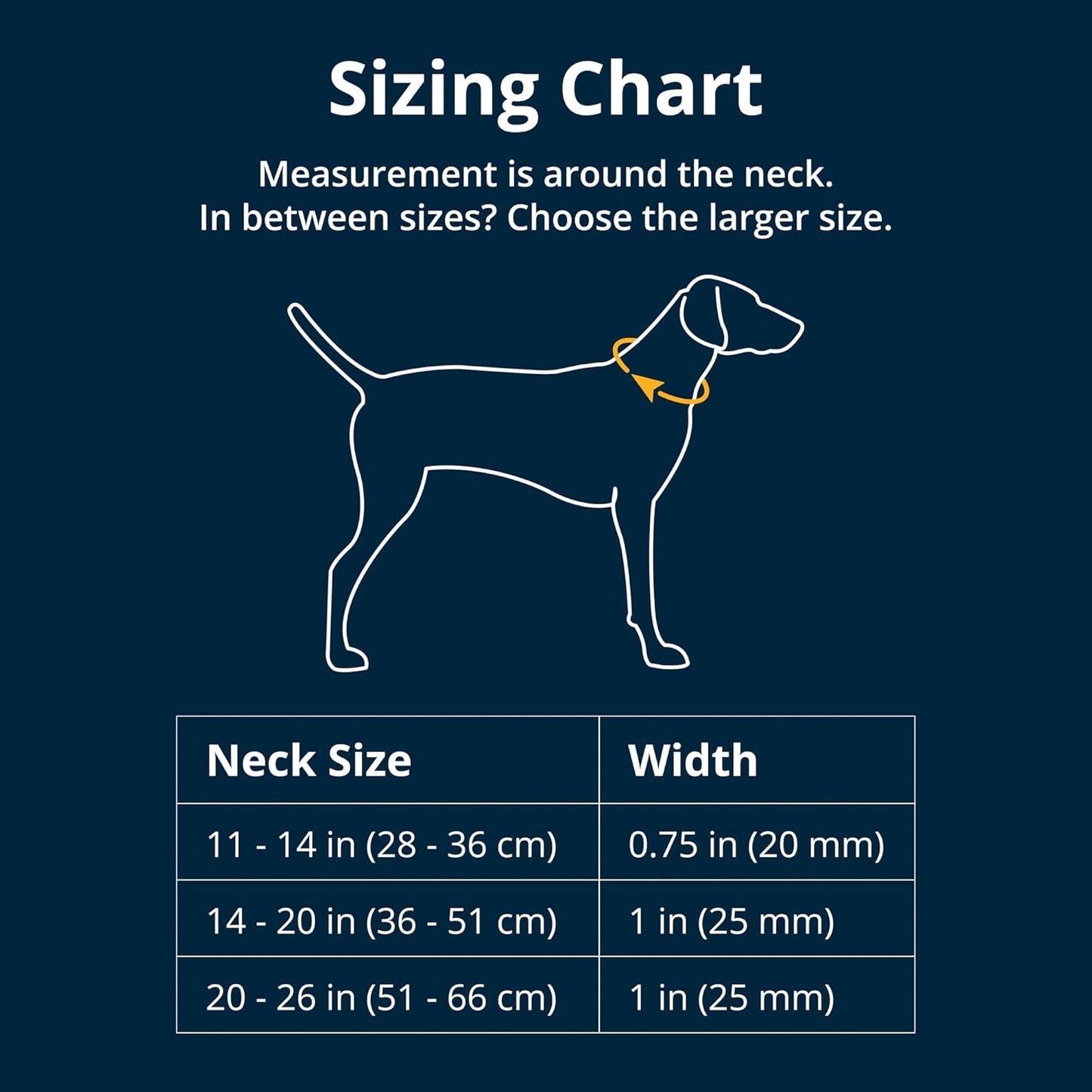 Ruffwear, collar de perro de cuerda superior, hebilla de metal, gri...