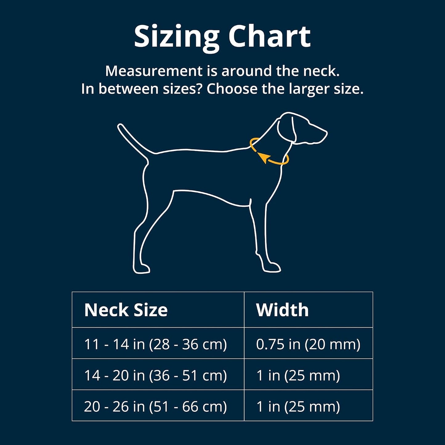 Ruffwear, collar de perro de cuerda superior, hebilla de metal, gri...