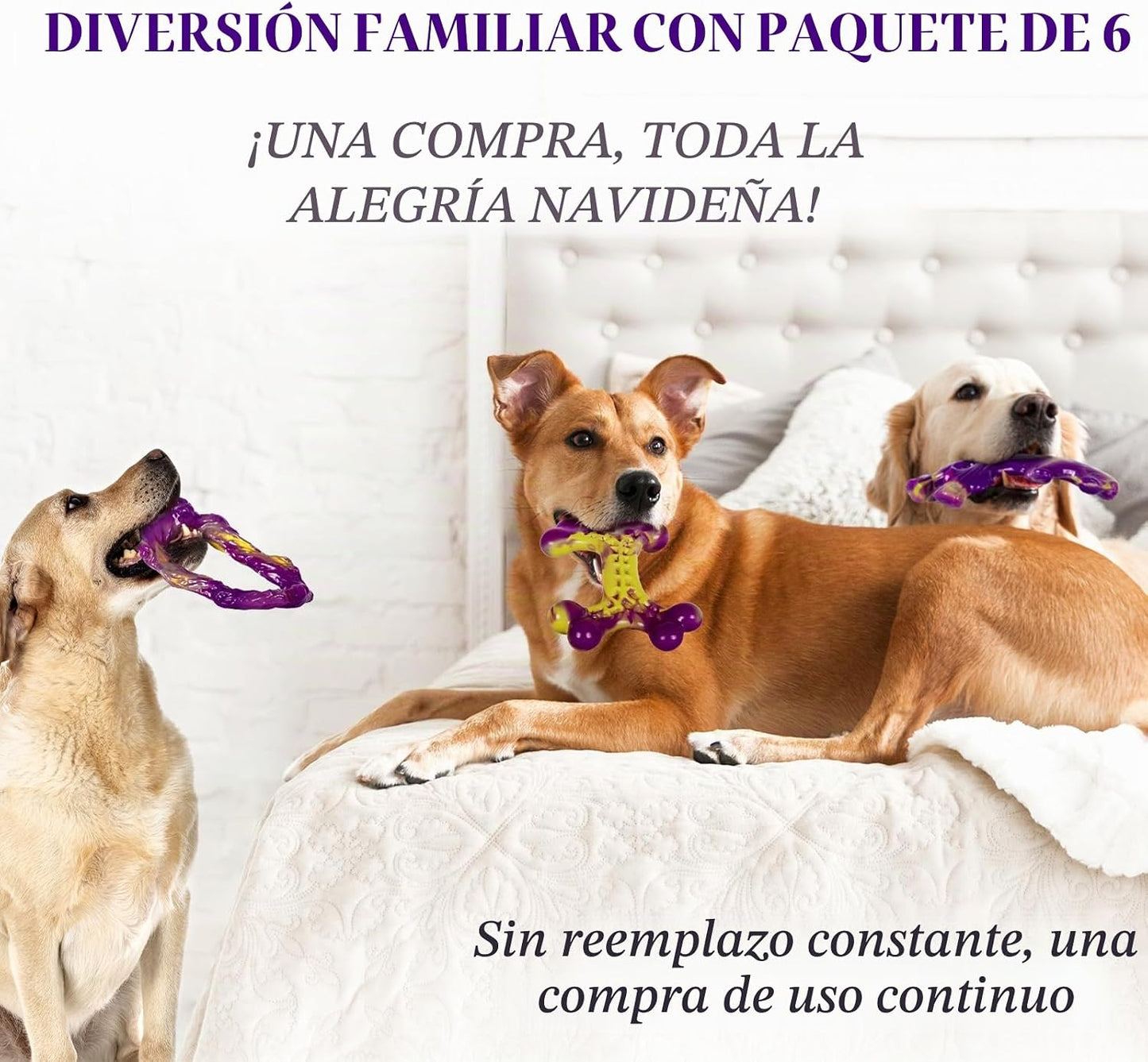 Frienhund Paquete de 6 juguetes para perros para masticadores agres...