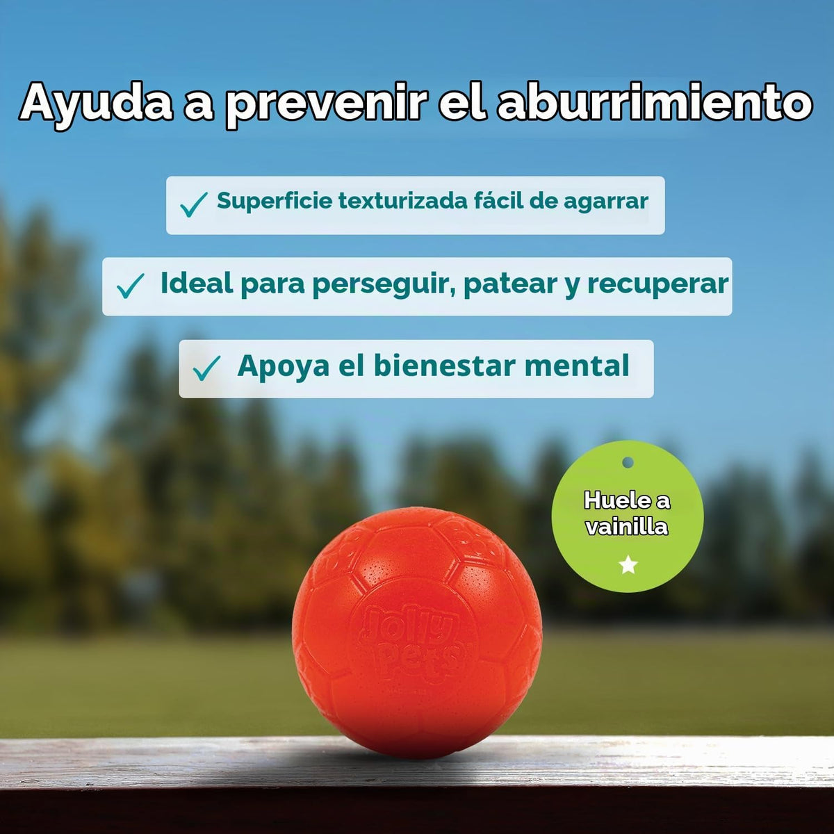 Juguete para perros Jolly Pets de pelota de fútbol flotante y rebot...