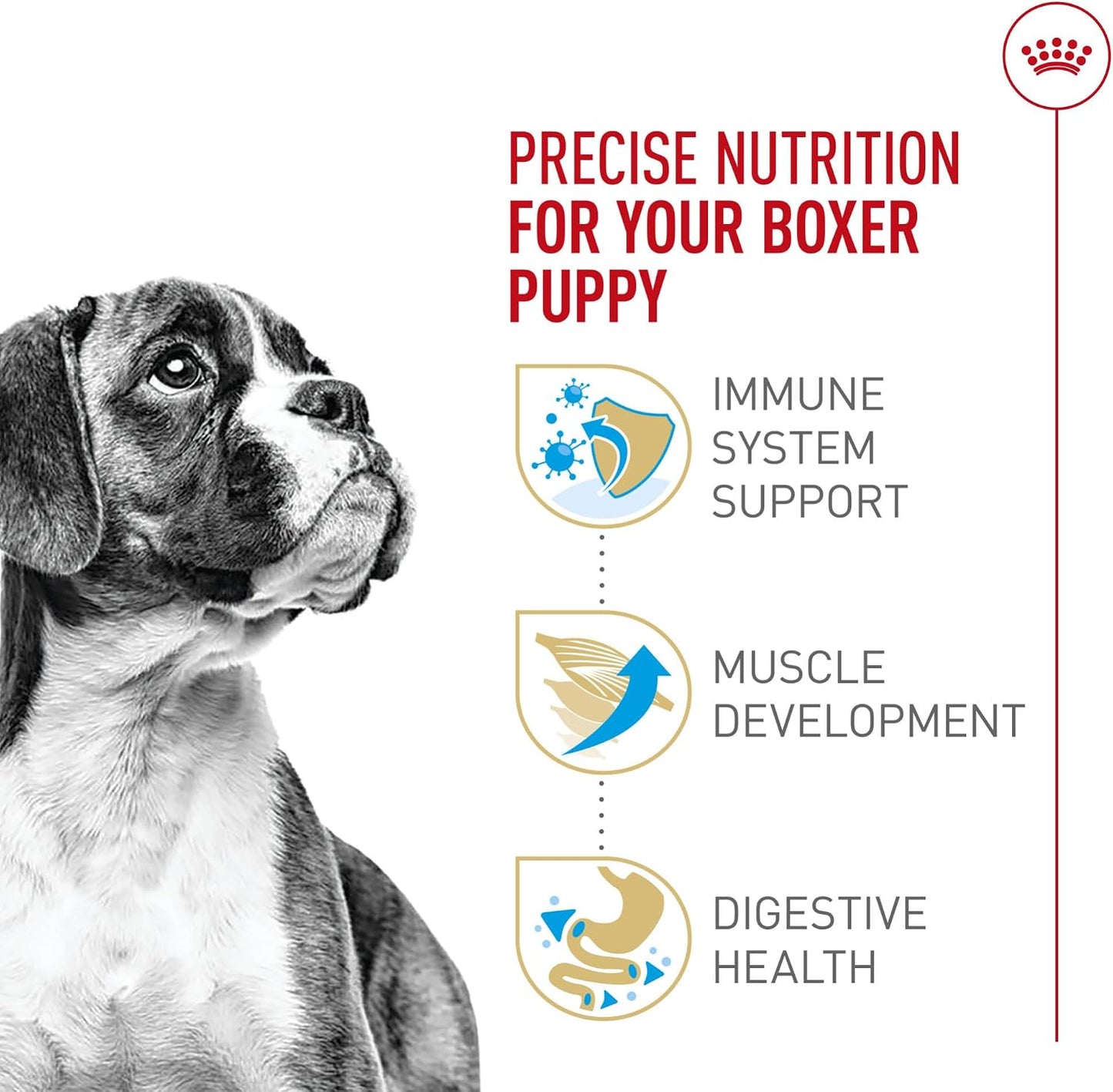ROYAL CANIN Boxer Puppy - Alimento seco para perros, bolsa de 30 li...