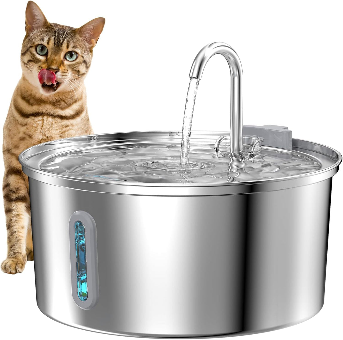 Fuente de agua para gatos de acero inoxidable: fuente de gato de 10...