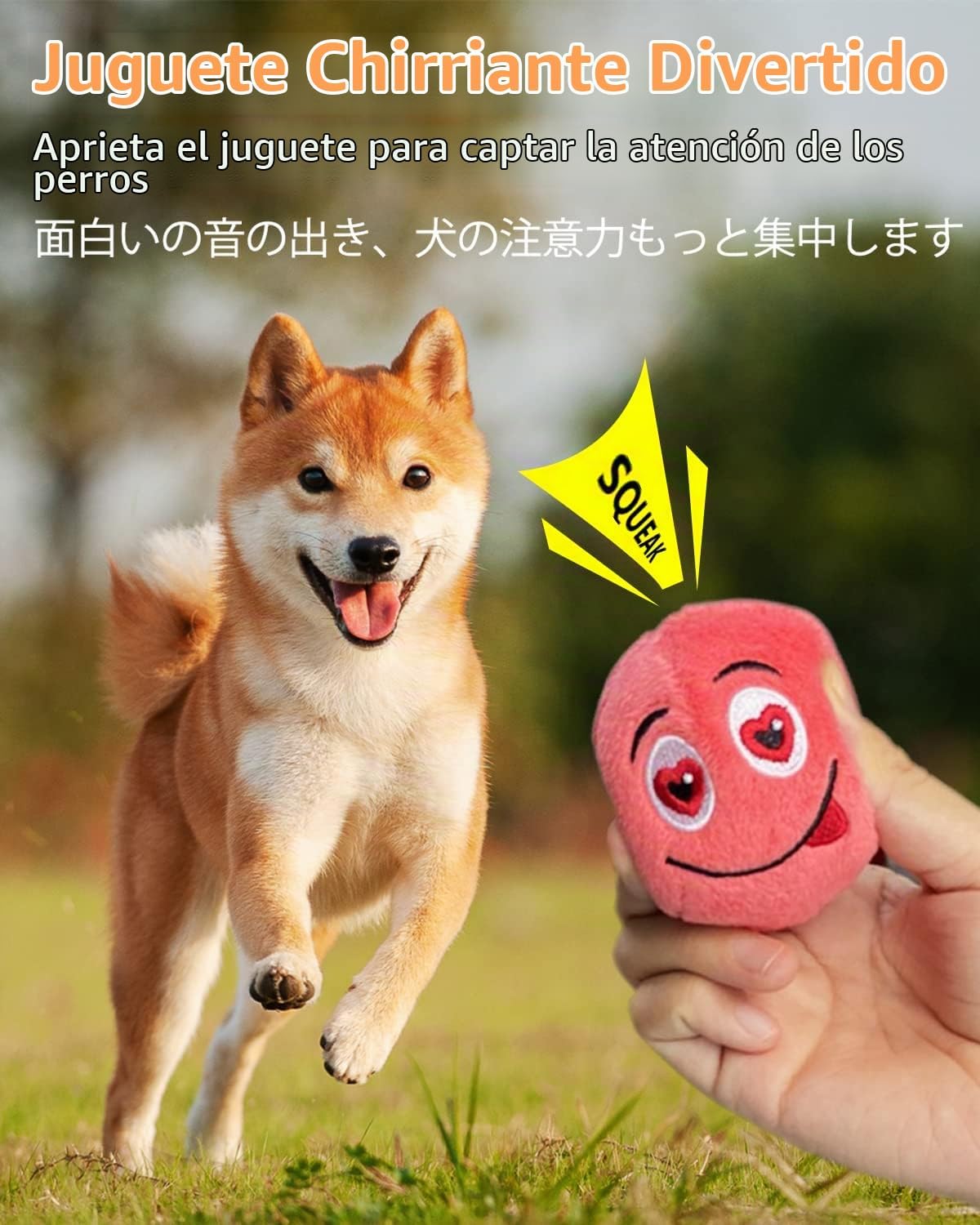 SCHITEC Juguetes chirriantes para perros, [6 unidades] Pelotas de f...