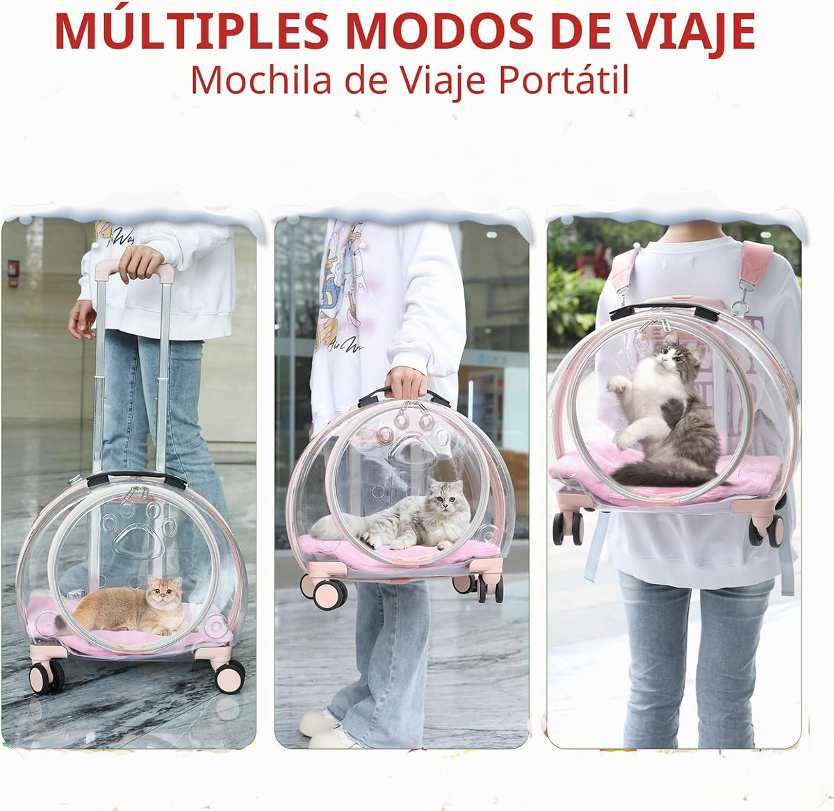 Transportador de gatos duro transparente y totalmente transpirable...
