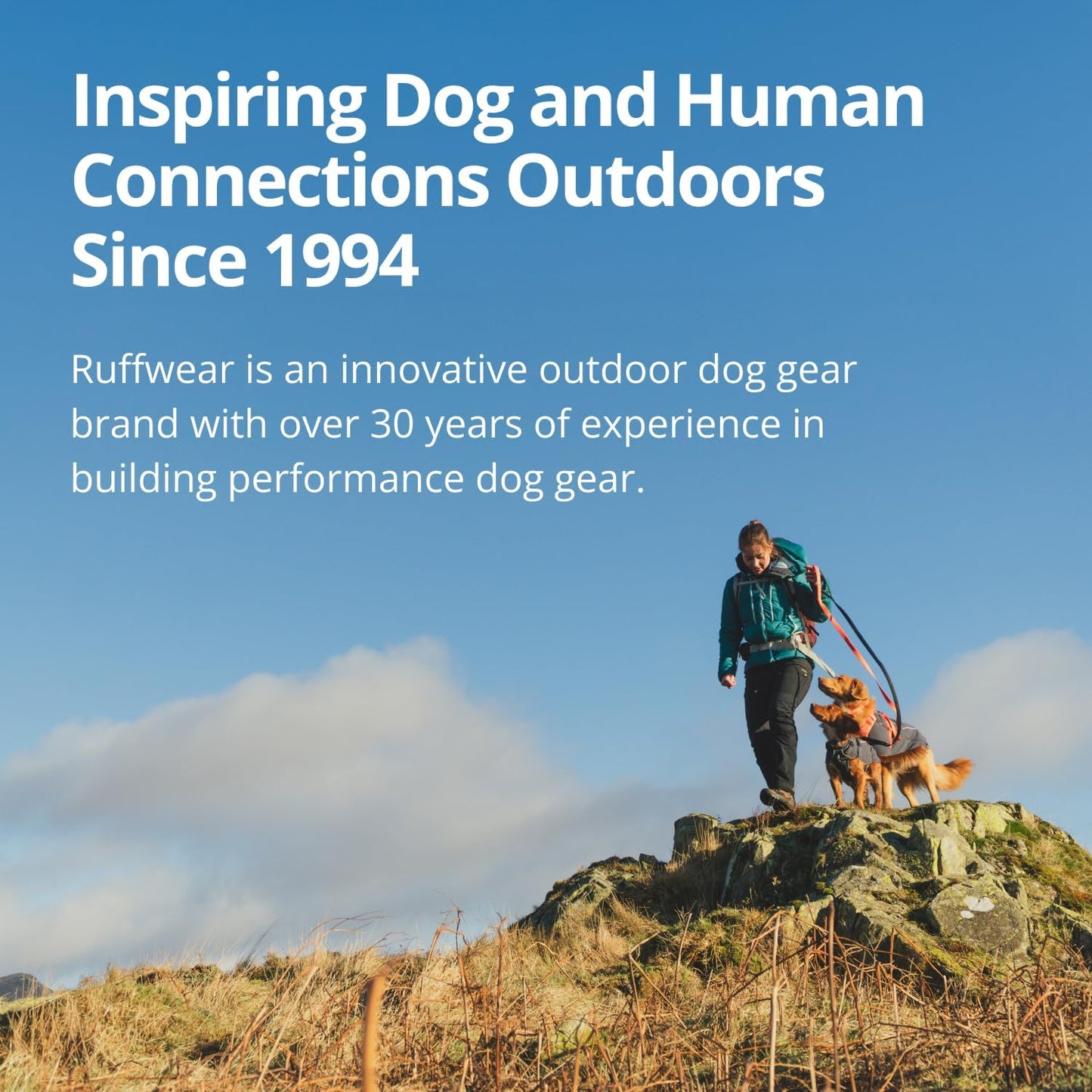 Ruffwear, Ridgeline - Collar para perro, correa reflectante, hebill...