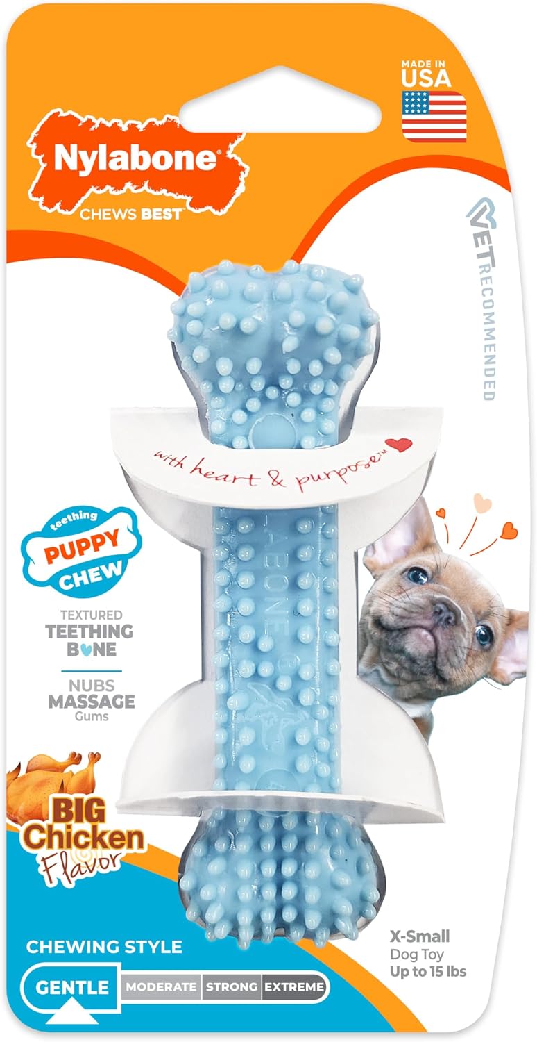 Nylabone Puppy Chew - Hueso de perro con textura azul para dentició...