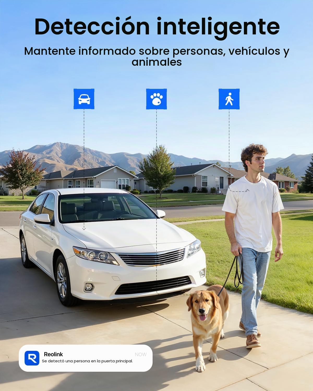 REOLINK Home Hub mini con 2X Argus 3 Pro+panel solar, cámaras de se...